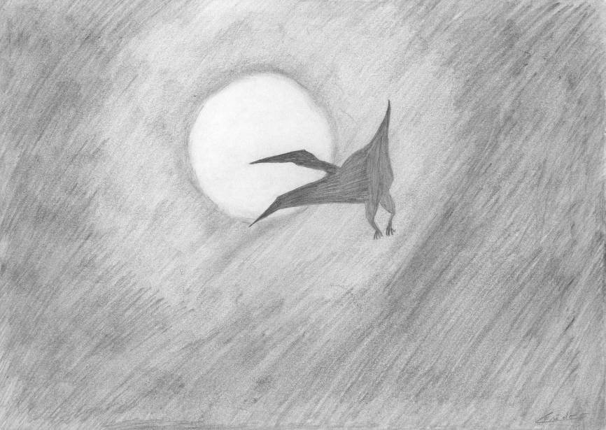 oiseau